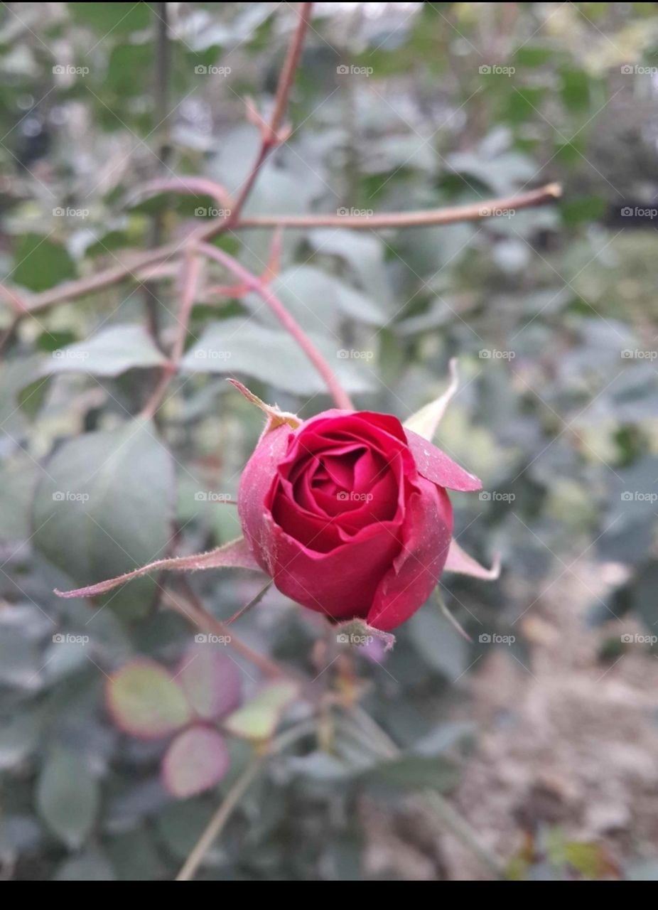 Beautiful things don’t ask for attention...