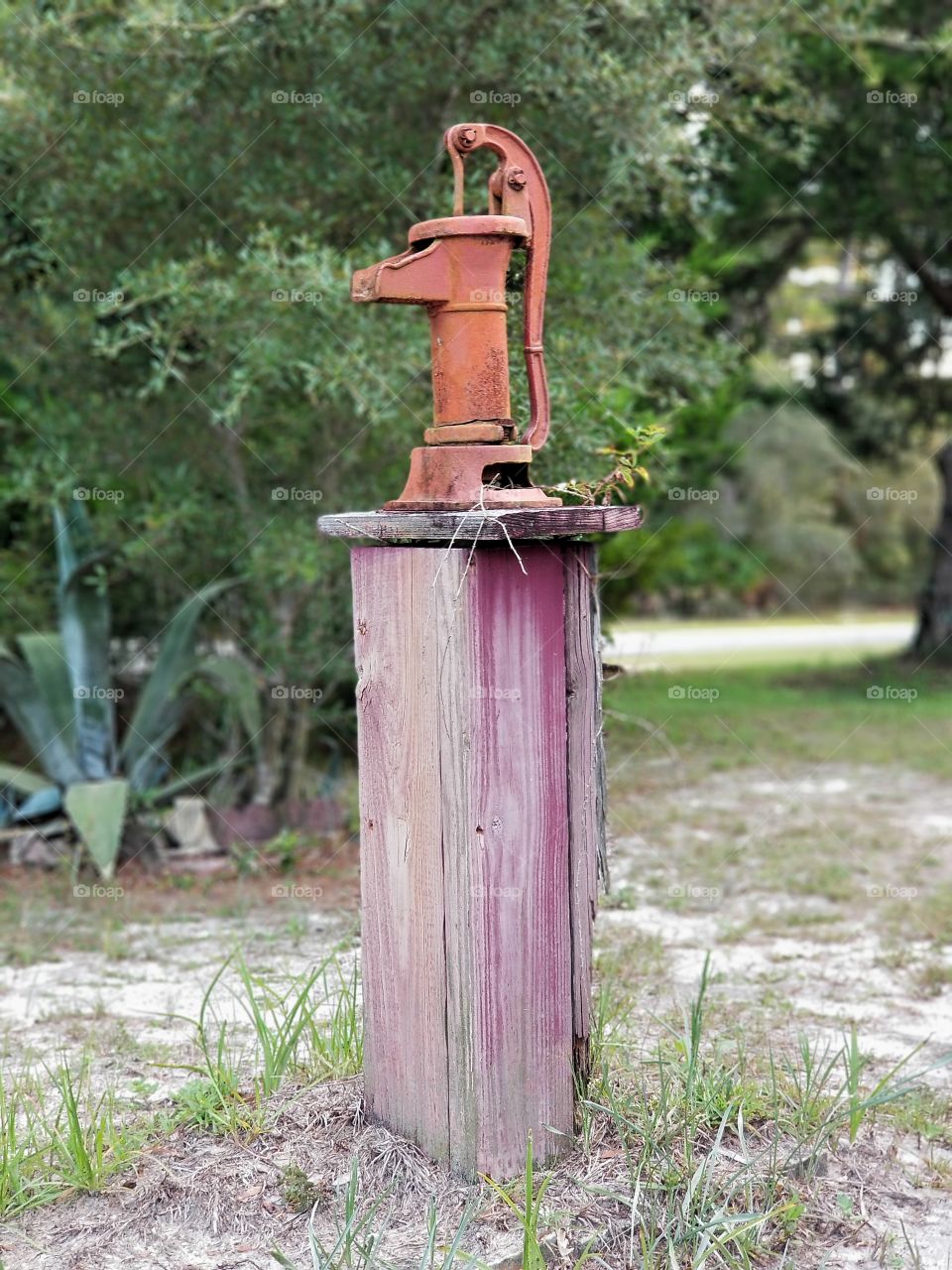 From Past To Present and Looking Into The Future.... some Items are simply Timeless and suggests the struggle and success of Life, such as this Hand Dug Well and  Manual water pump.