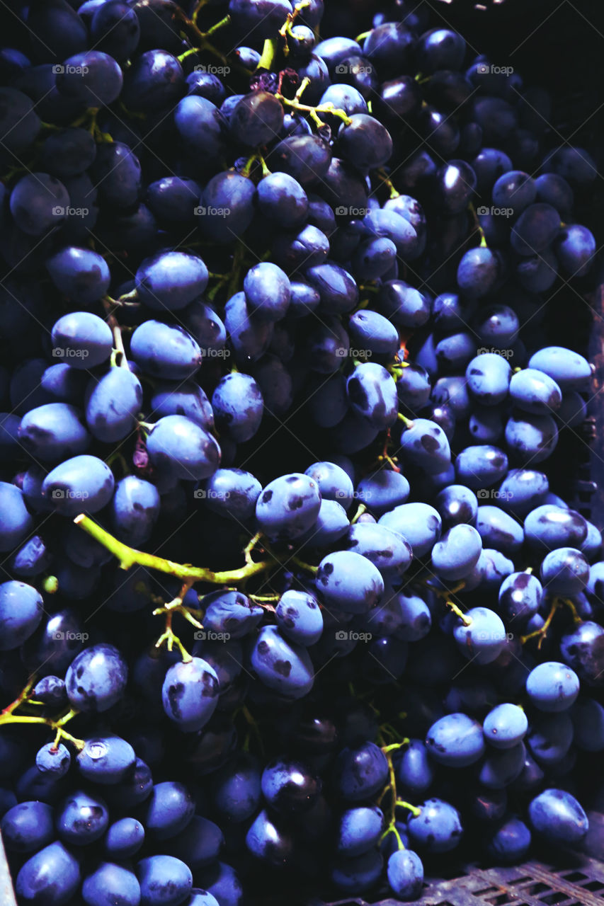 grapes