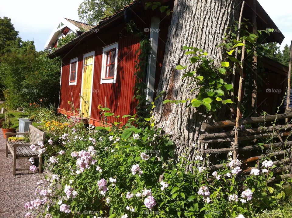 sweden flowers garden stockholm by ciaobucarest