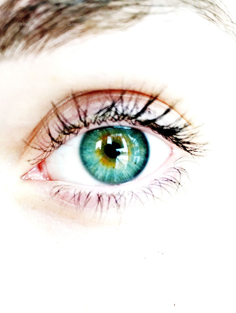 Close-up of green eye