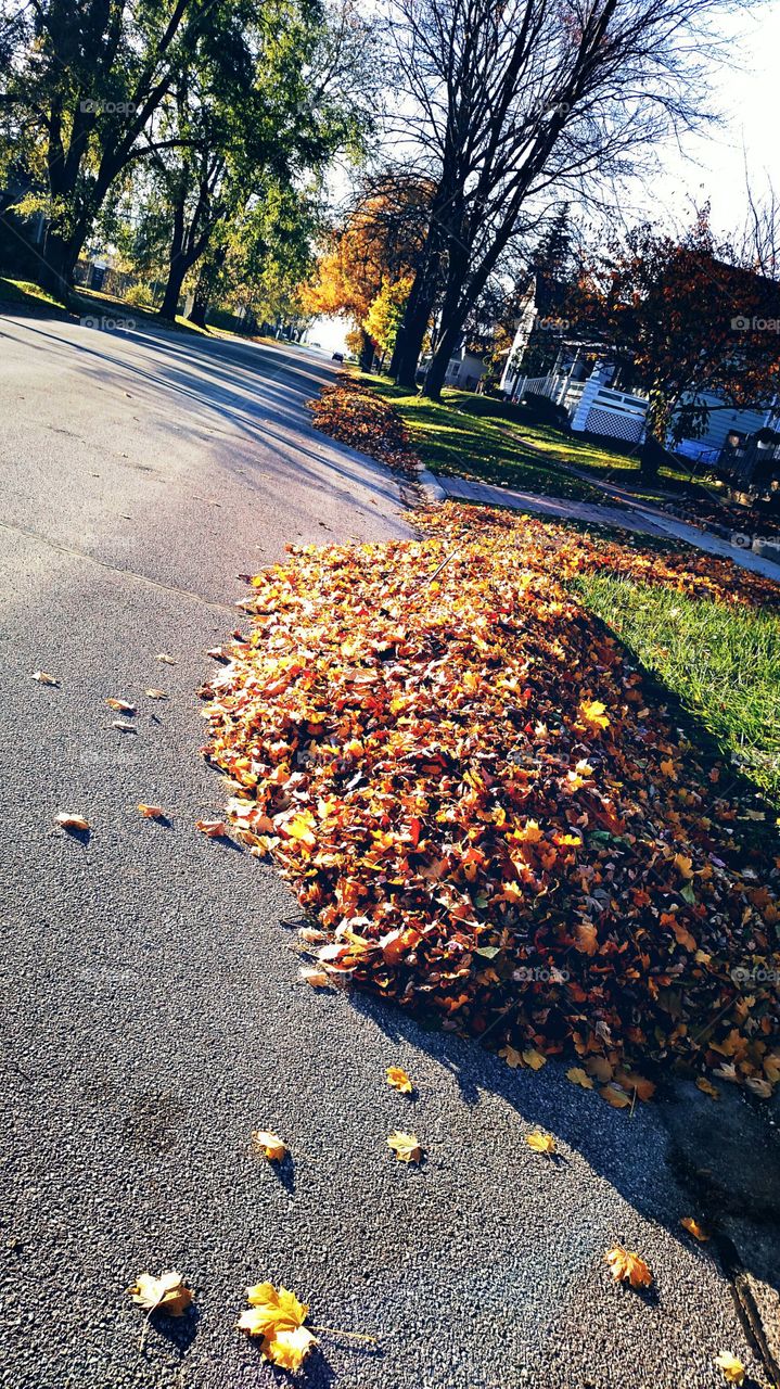Fall time on the Streets