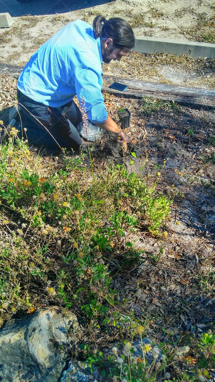 A Professional Gardening