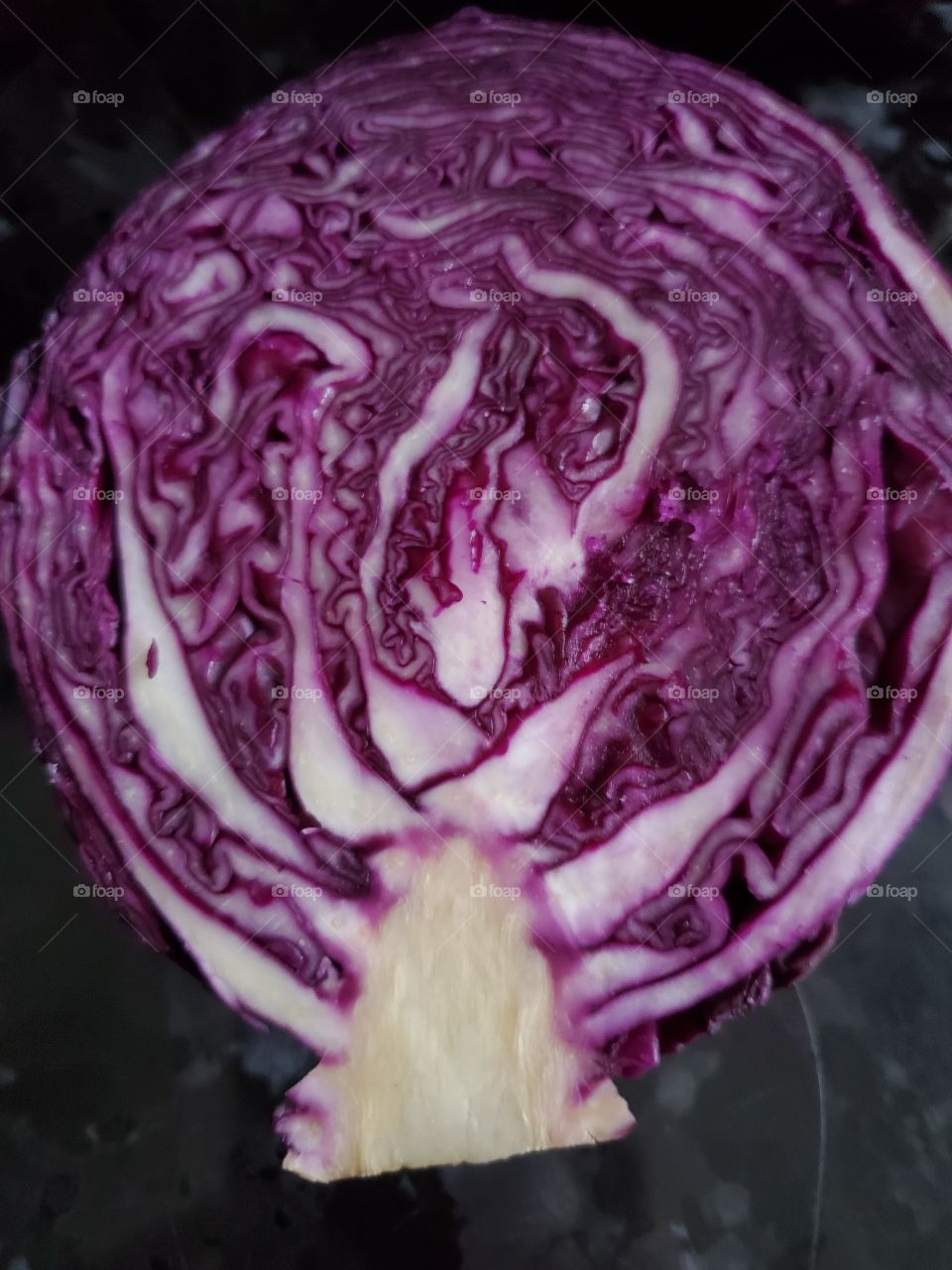 cabbage