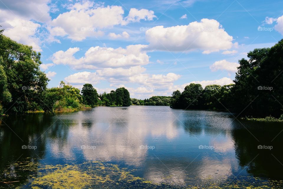 Summer landscape