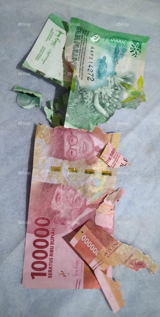 Money is damaged because of our dog.