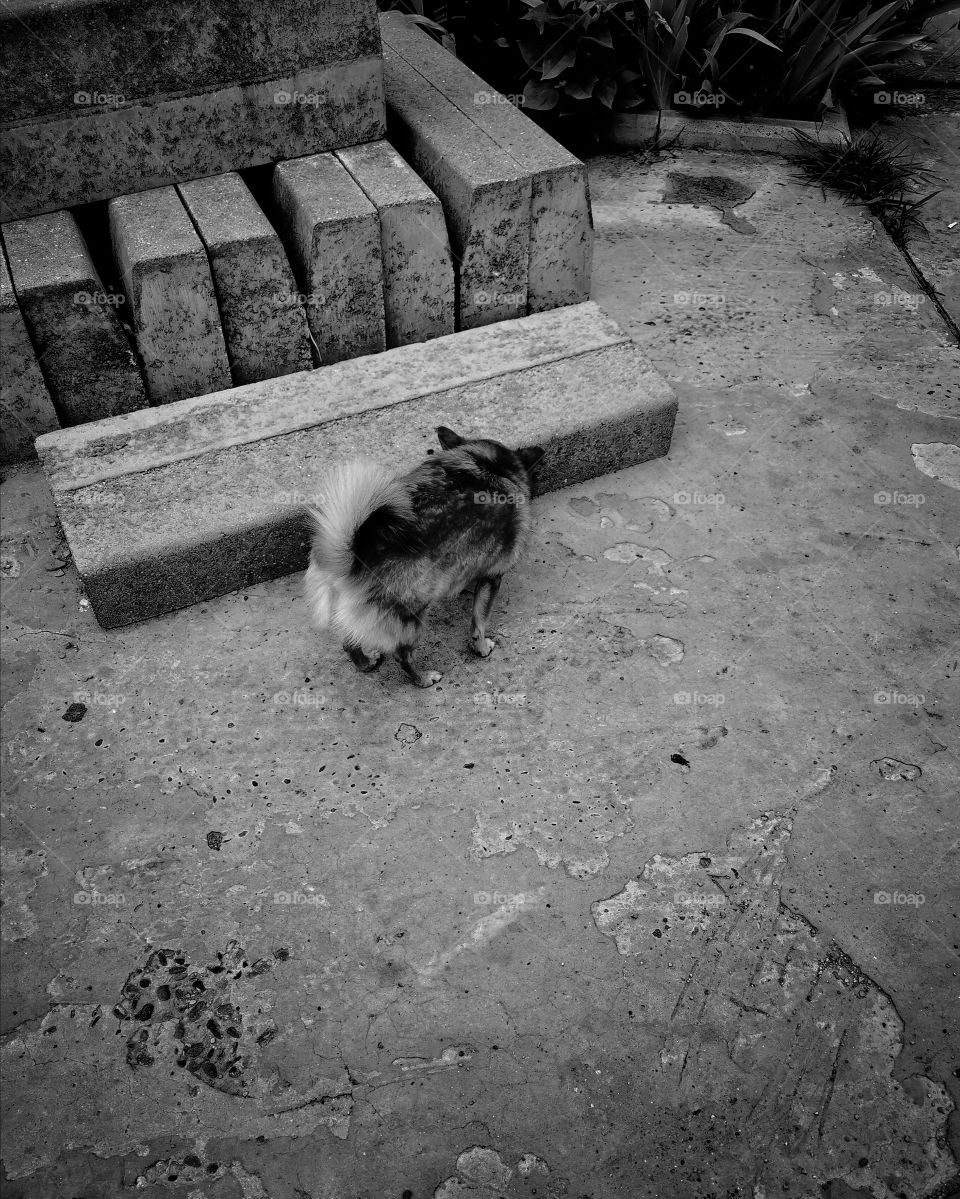 B&w architecture design view building way road decor decoration