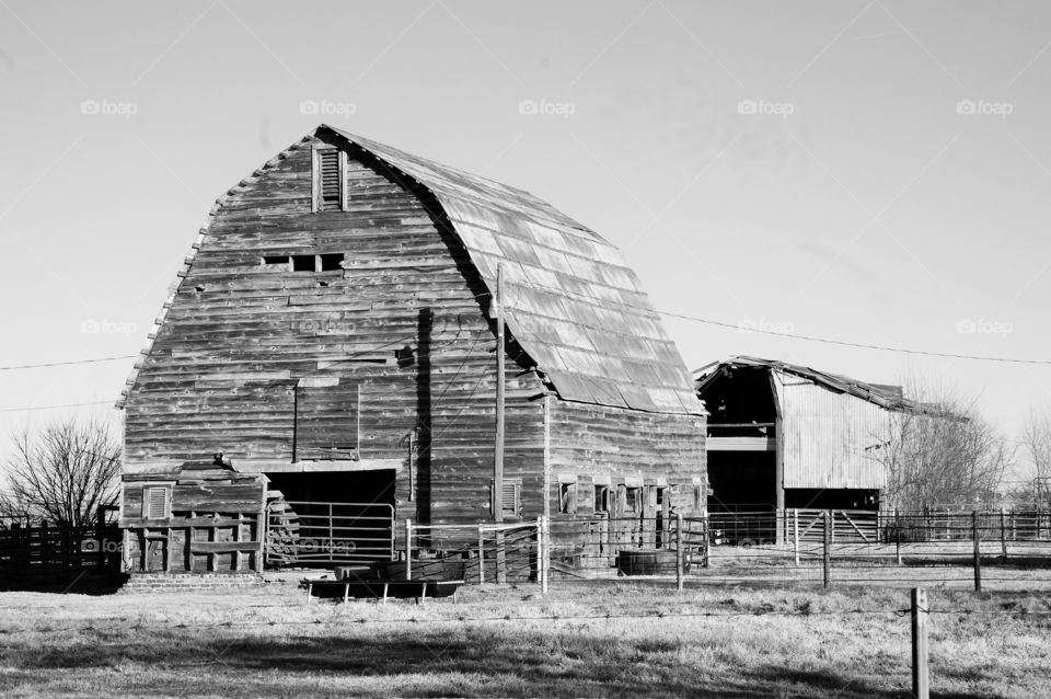 Large wood barn. Black and white wood slat barn.  Classic barn silhouette.