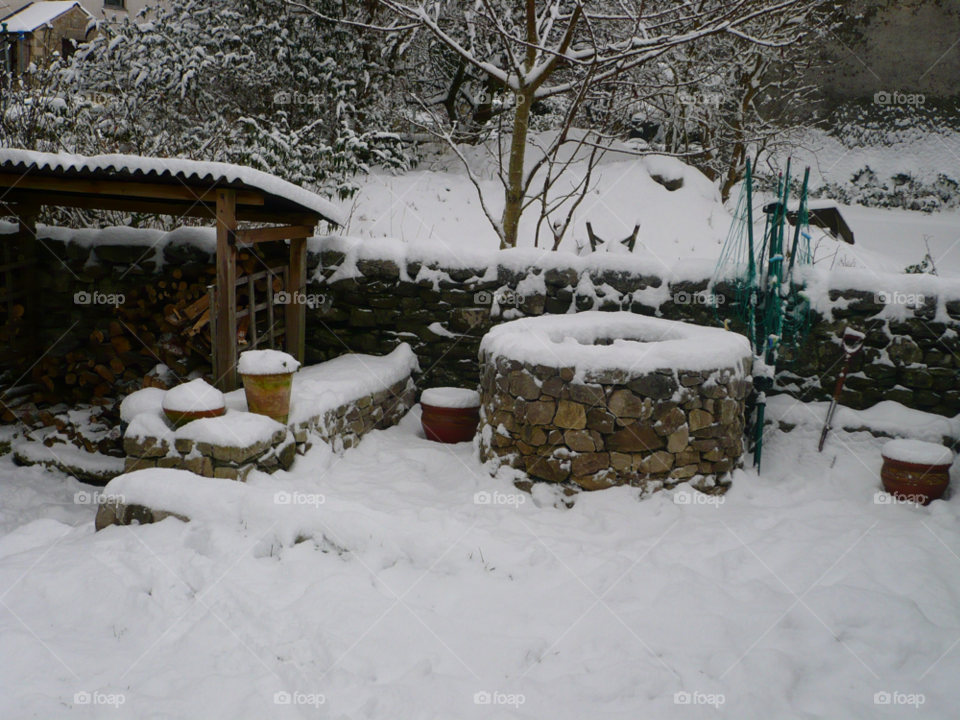 snow winter garden trees by TurdOnTheRun