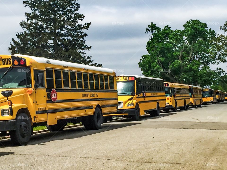 Yellow Busses Vanishing Point