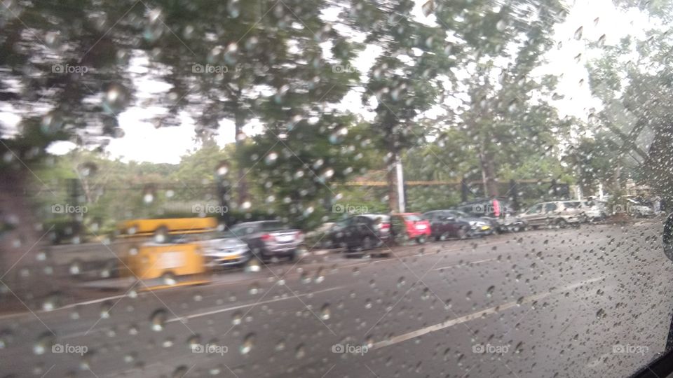 street in rain