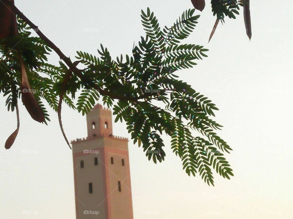 Beautiful to view of minaret mosque