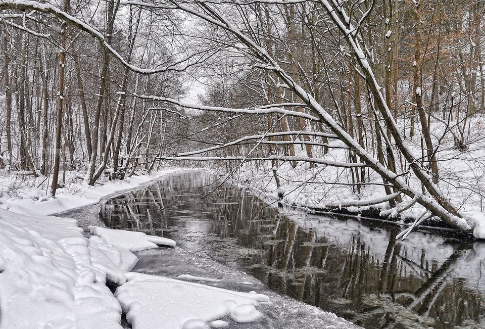 Winter river