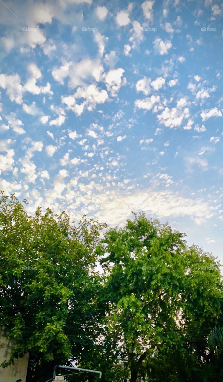 Awesome weather ❤️& Trees 🌲