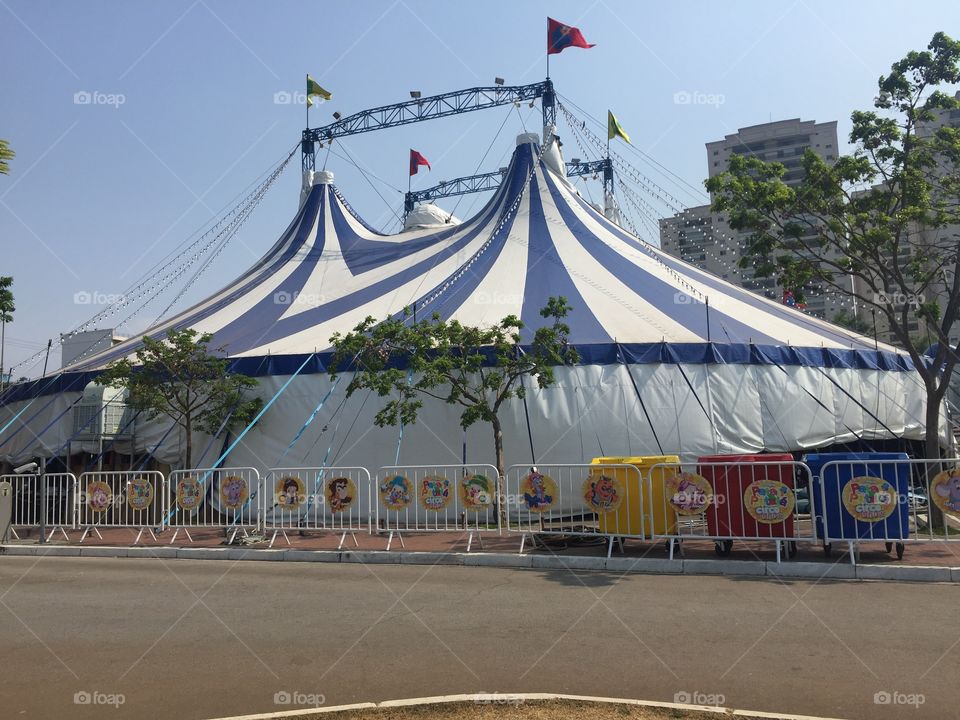 The circus has arrived