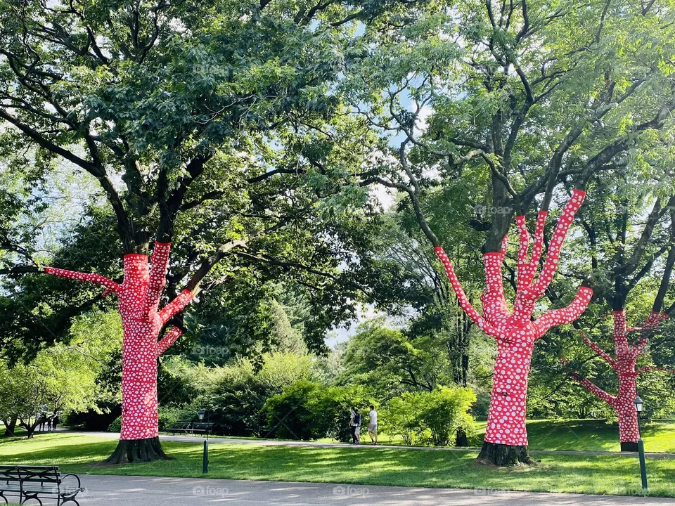 Artist Kusama’s Polka Dots on Trees at NYBG 