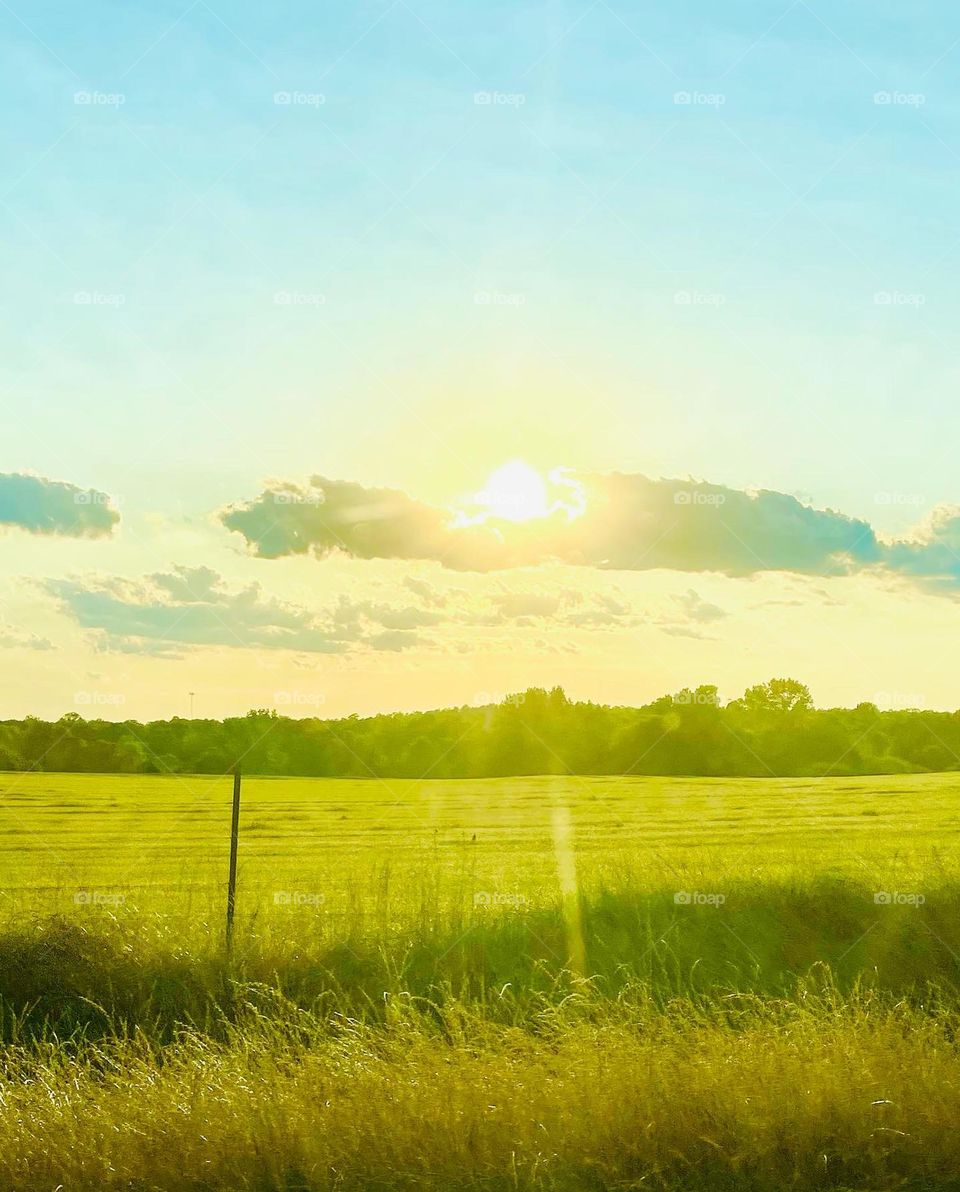 A beautiful sunrise over a large green pasture, a fence rests just in front of the viewer 