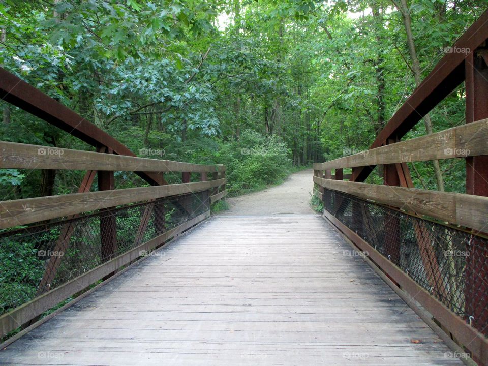 bridge to woods