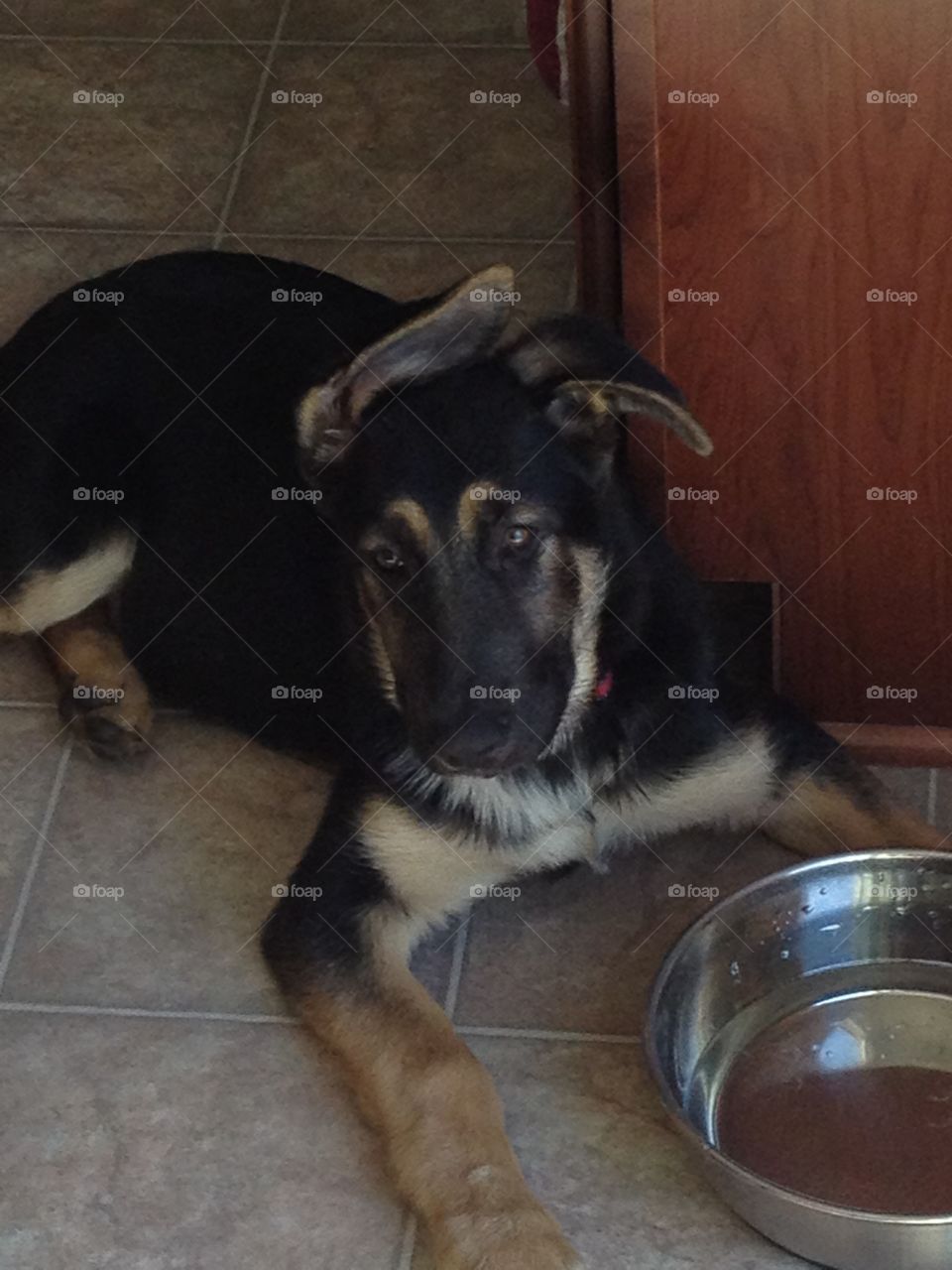 One of his favorite spots as a pup and still today