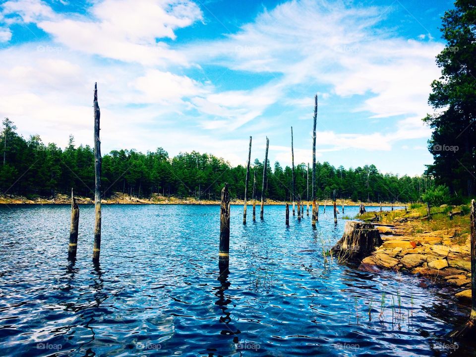 Willow Springs Lake