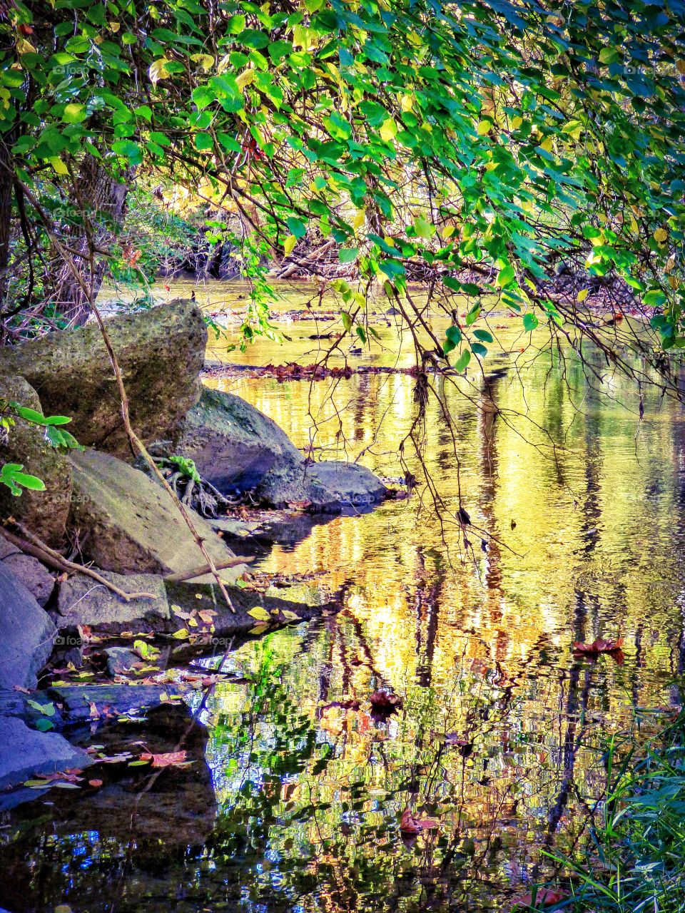 Beautiful view of fall