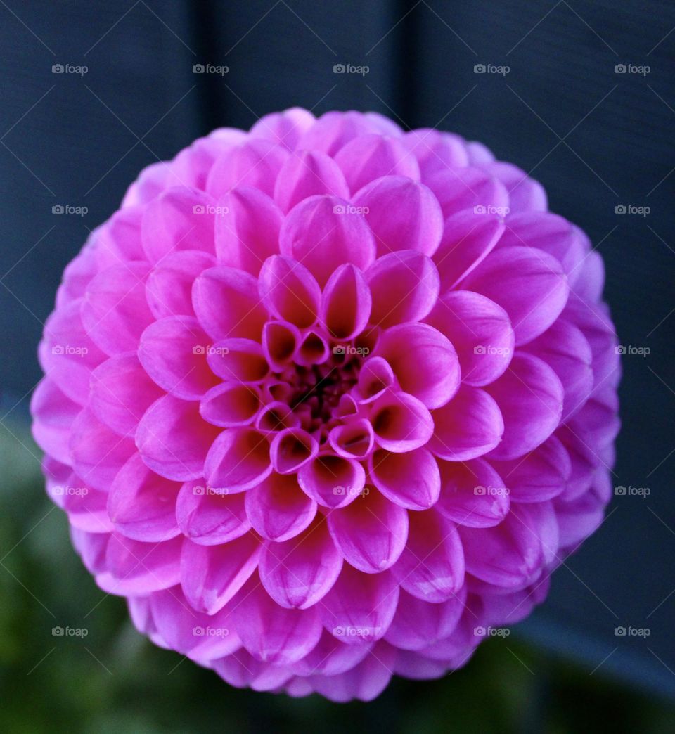 So perfekt und wunderschön 