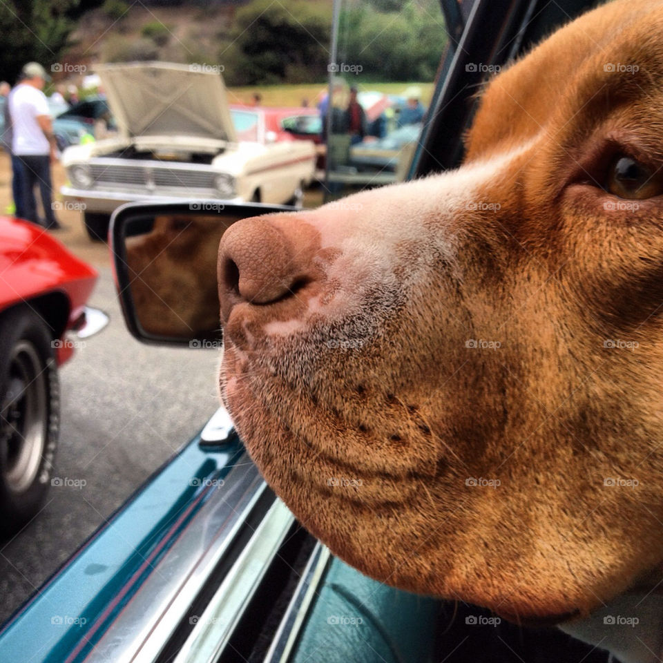  by breatheandconsider