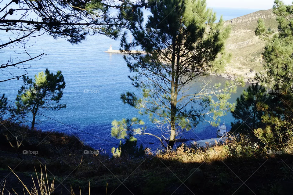 Sea