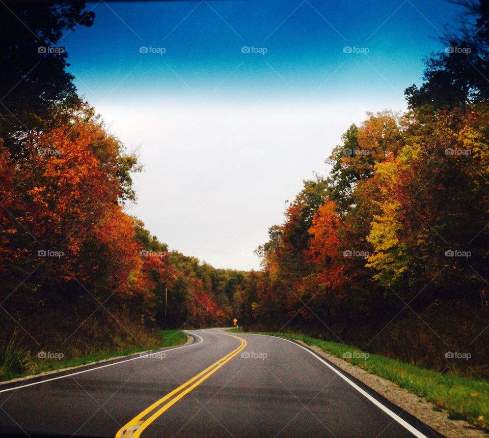 Highway in the Fall