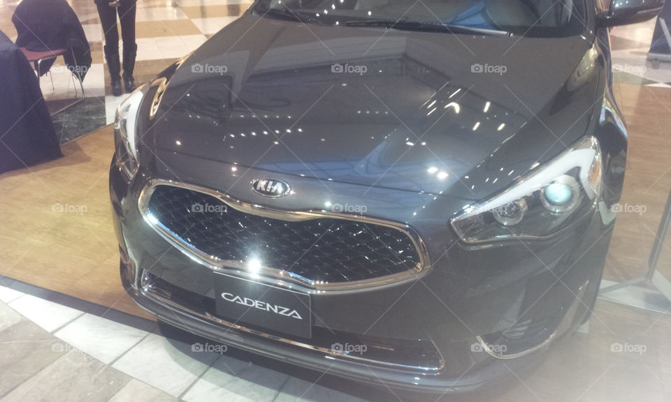 2014 Kia Cadenza front face 