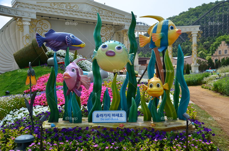 Colorful fish display in Everland
