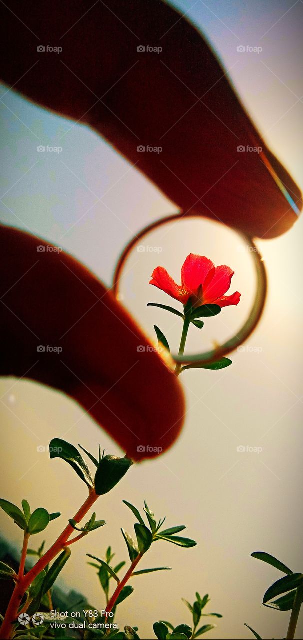 #foap #infoapartemen #foapjuly18 #foapaug18 #foapfeb18 #foapapril17 #foapers #foapjune18 #fotografoaprendiz #sfoapprentices #foaper #infoapartment #foapmission #foapmay18 #foapapr18 #foapit #infoaplikasipaytren #infoapple #foapom #foapjan19 #infoapp 