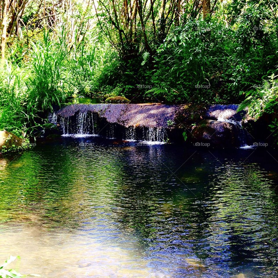 Watering hole