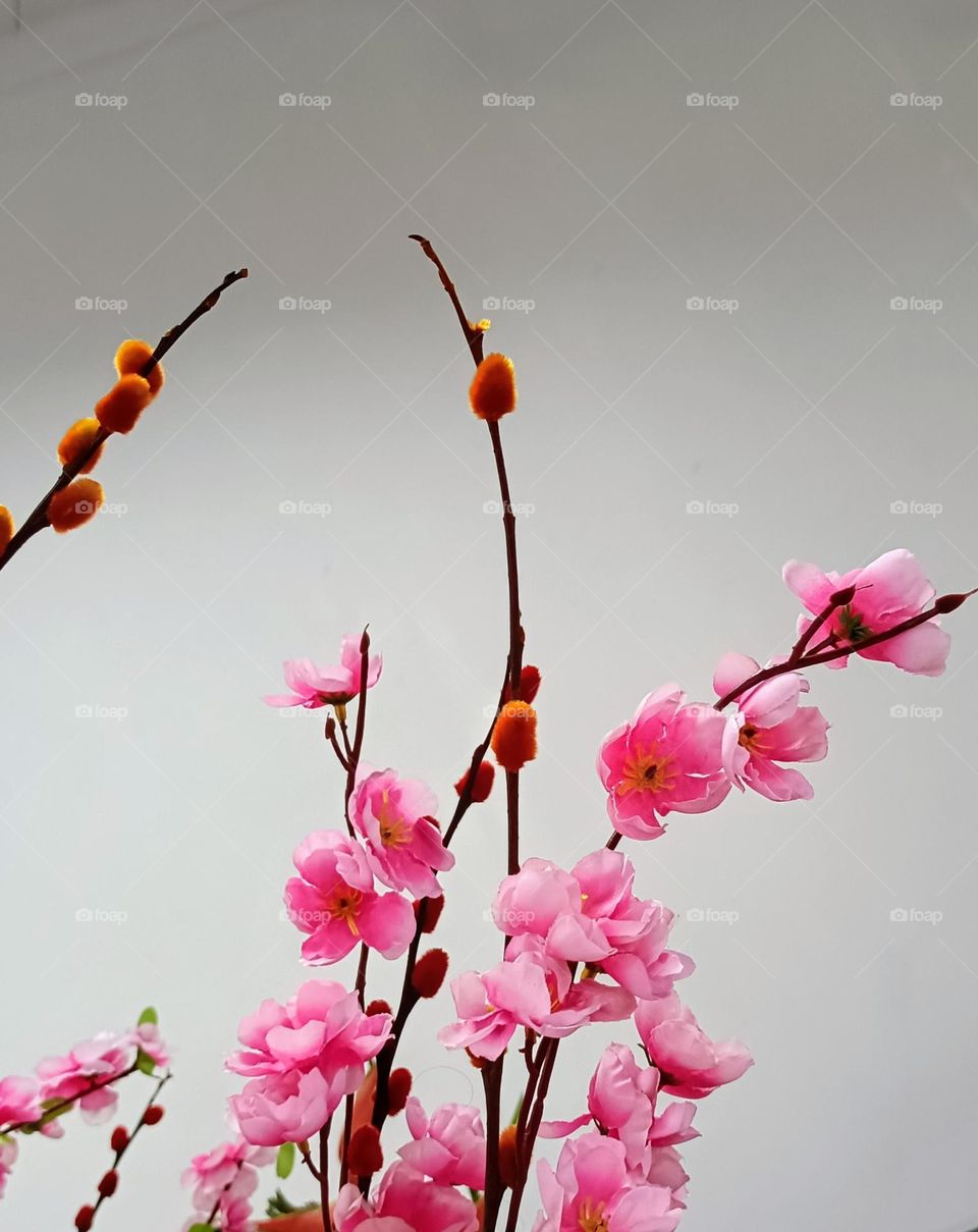 A few artificial peach blossoms with white background.Chiness New Year decoration.