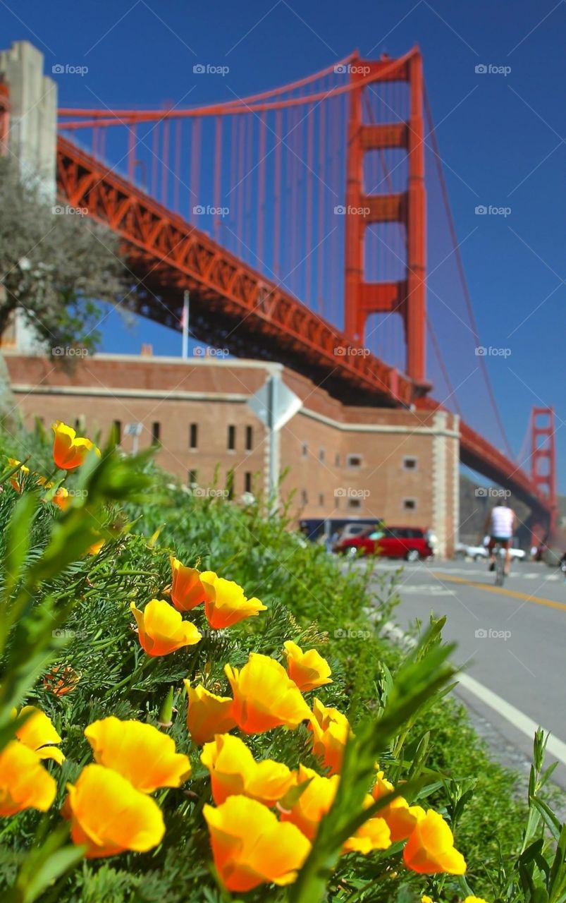 Fort Point,  SF CA