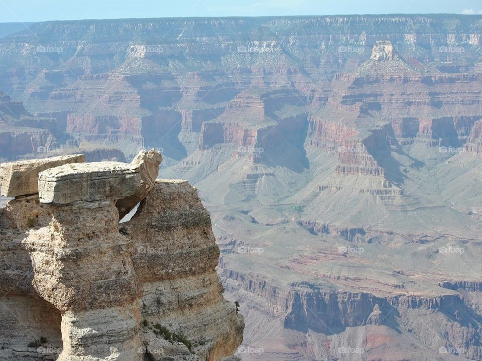 Grand Canyon Life