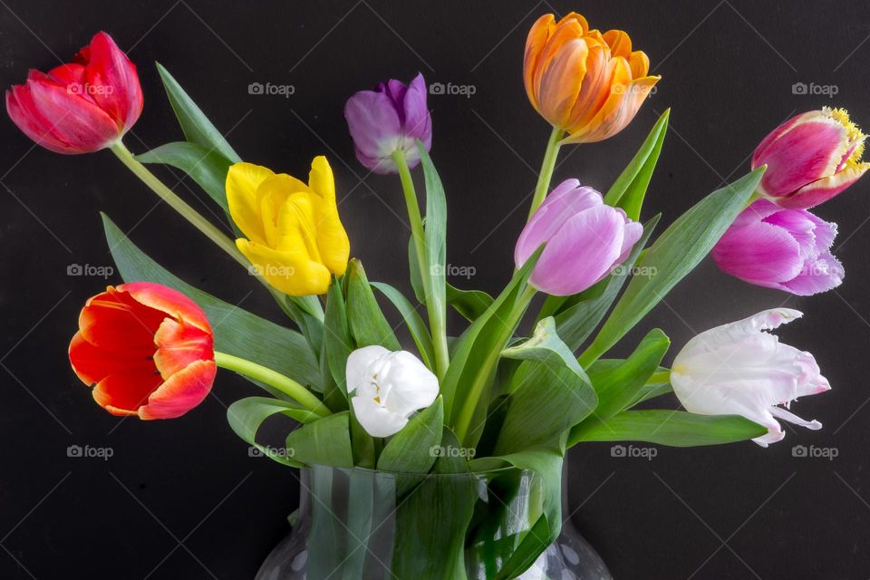 tulips in a vase