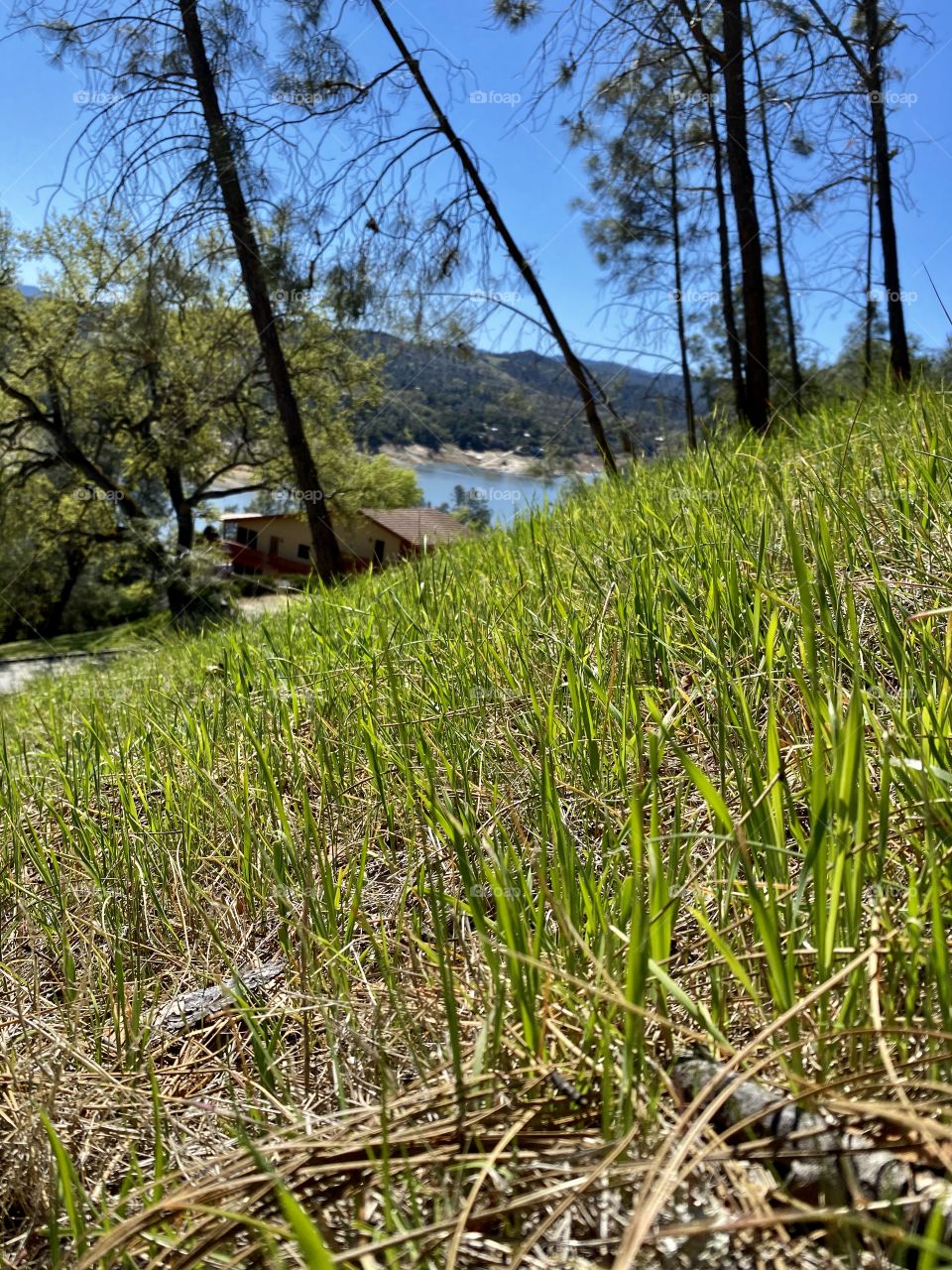 A view of Lake Nacimiento California from a hill over Saddle Way Street 