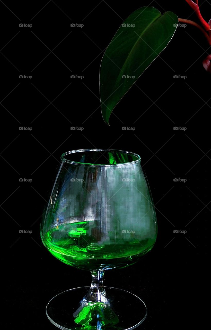 Green color.  On a black background, a glass of green drink from tarragon.  Above the glass is a green leaf of a liana
