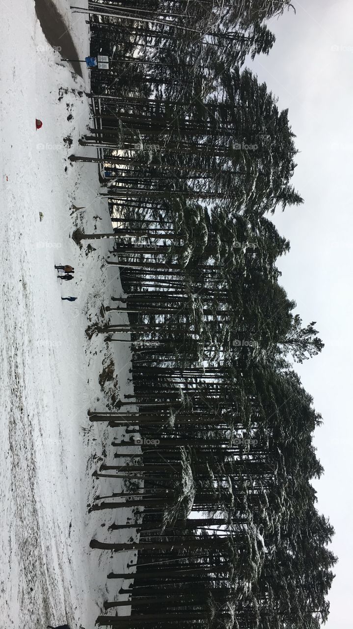 Beautiful view in the evening time.we spent one day in the lap of nature and enjoy the winter season with its full swing 