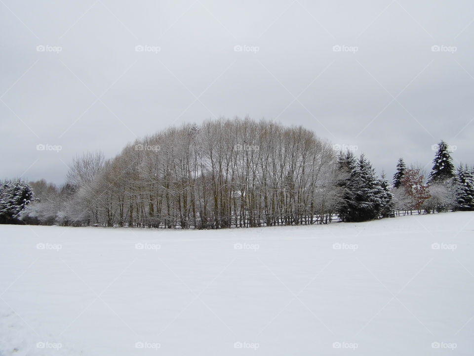 snow landscape it beautiful view