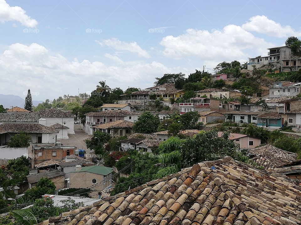 Cedros, Honduras