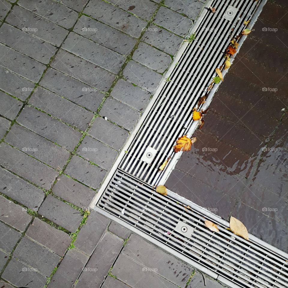 leaves on a drain - Autumn in the city