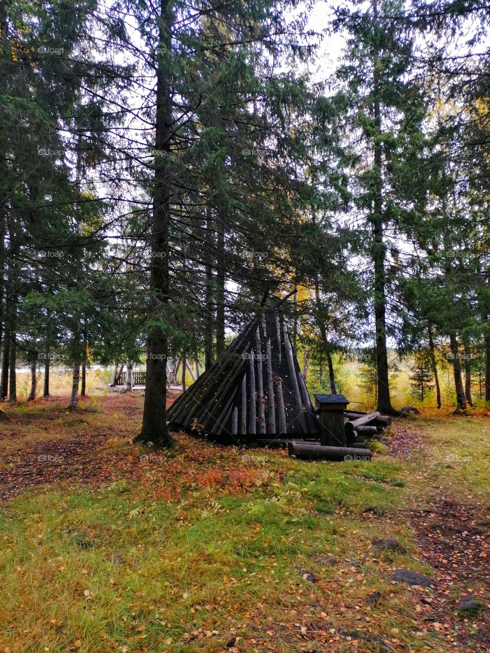 On a day trip in the Finnish forest in September.