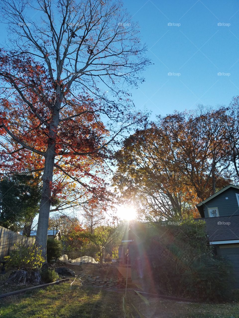 beautiful sunrays on a cold and clear autumn morning
