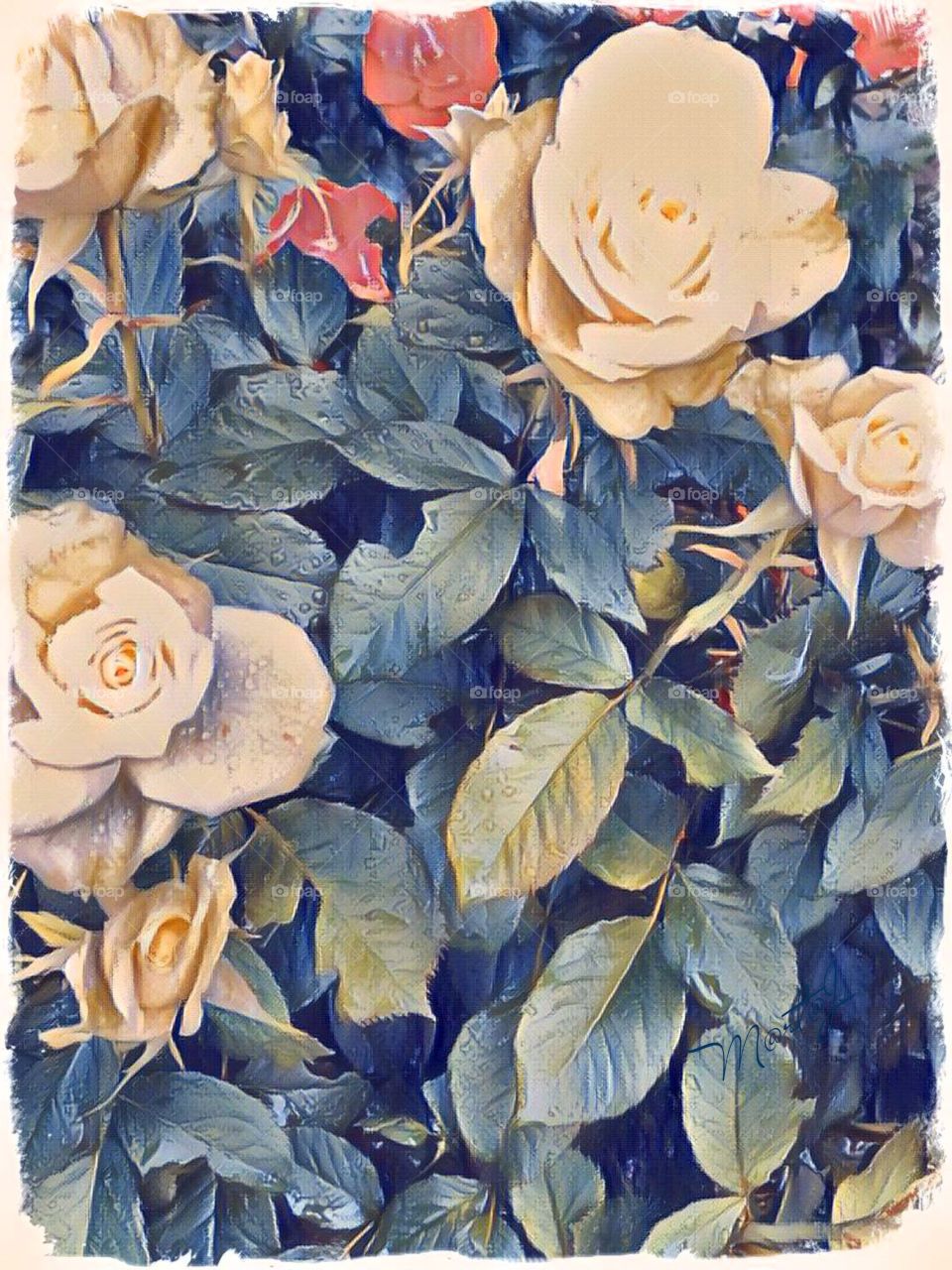 Roses 
