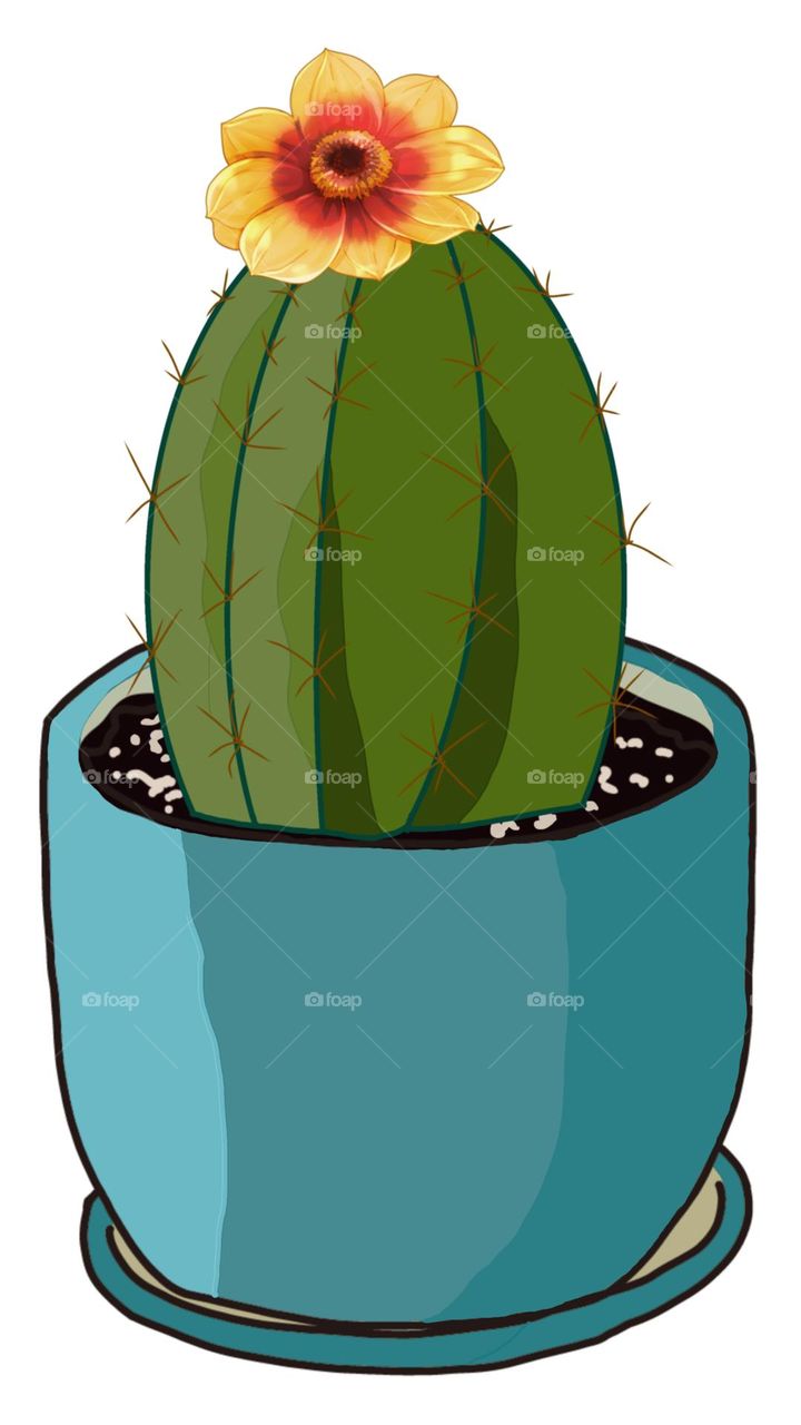 Wallpaper, background, portrait, cactus, fabric pattern