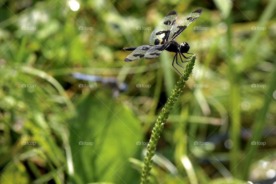 And he sticks the landing 