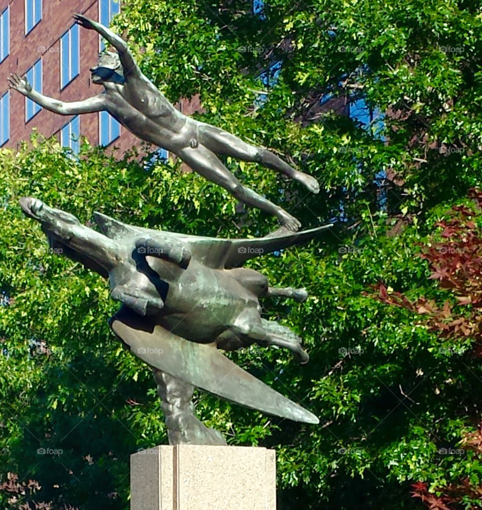 Soaring. Sculpture Garden Art