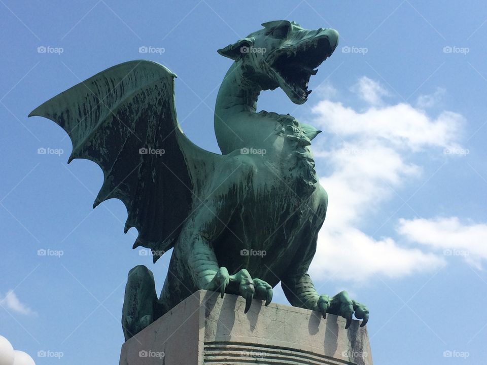 Slovenian dragon